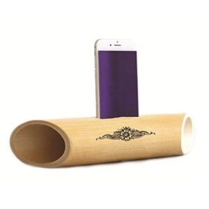 Bamboo Amplifier